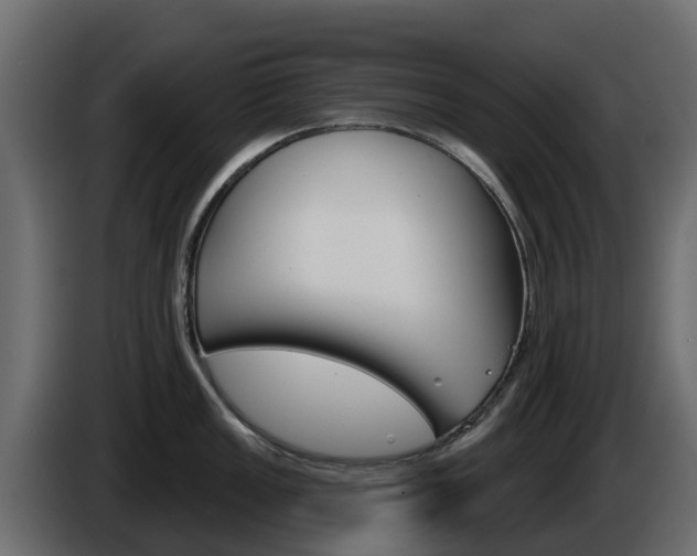 X0000086021149200703230927