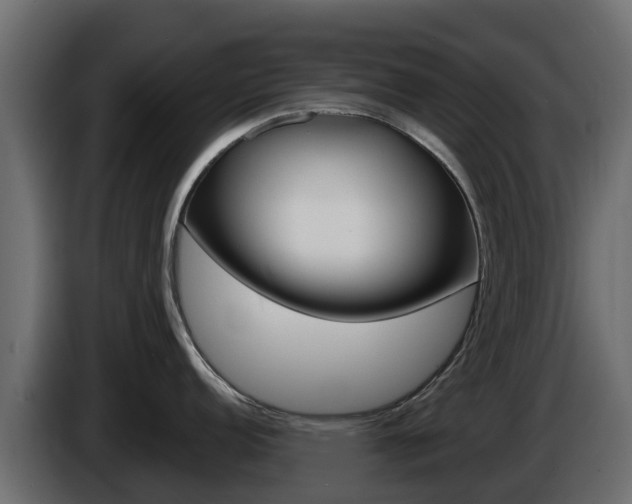 X0000086021152200703230927