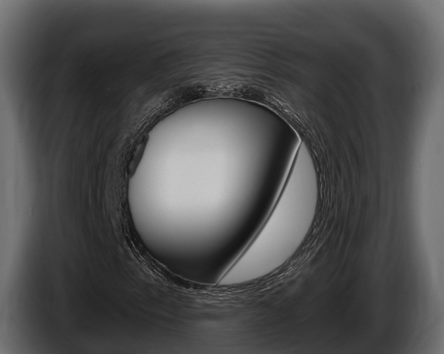 X0000086021153200703230926