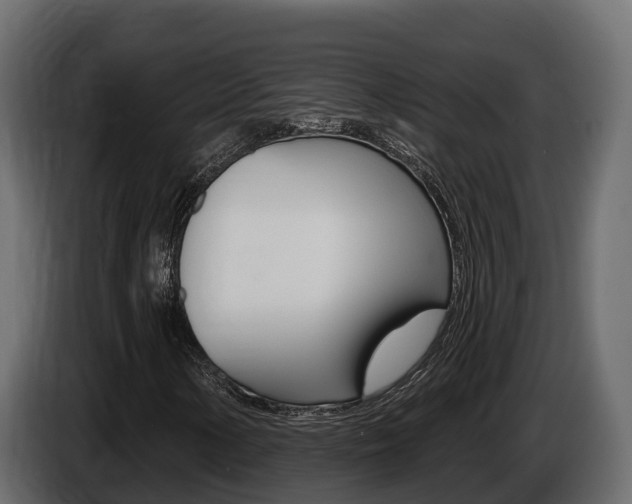 X0000086021154200703230926