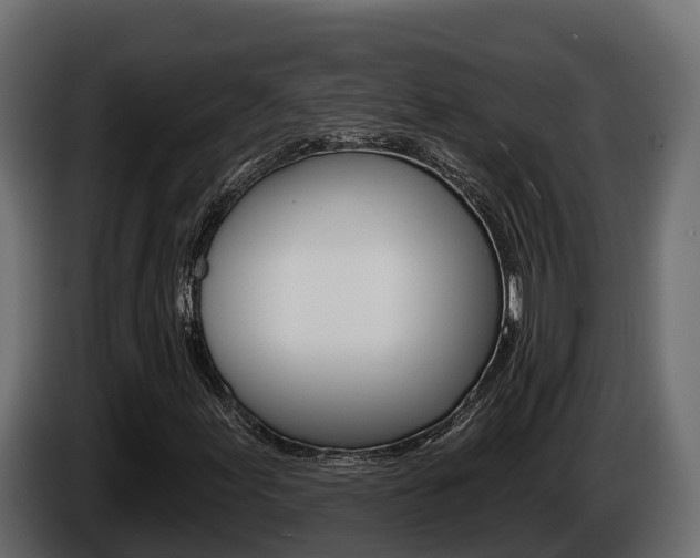 X0000086021155200703230926