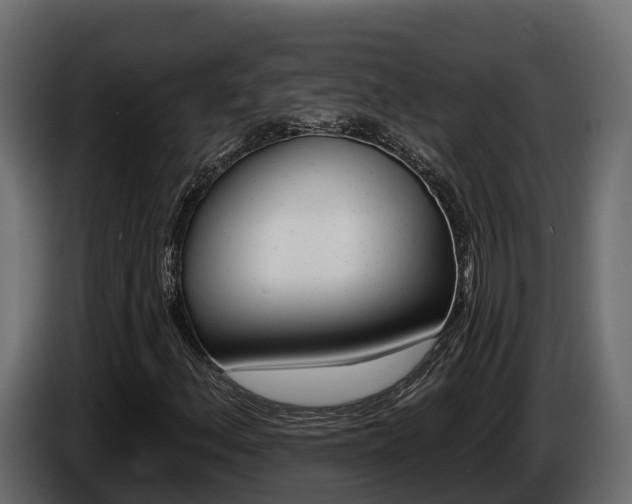 X0000086021156200703230926