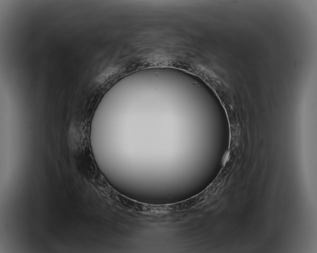 X0000086021157200703230926