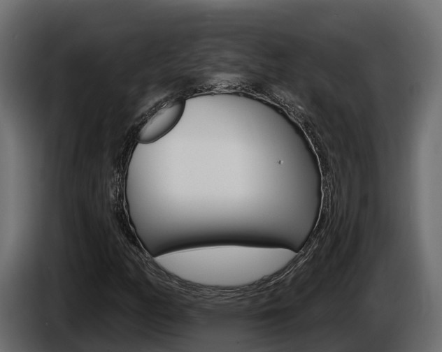 X0000086021158200703230926