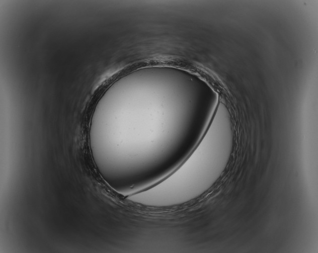 X0000086021160200703230926