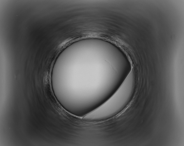 X0000086021161200703230926