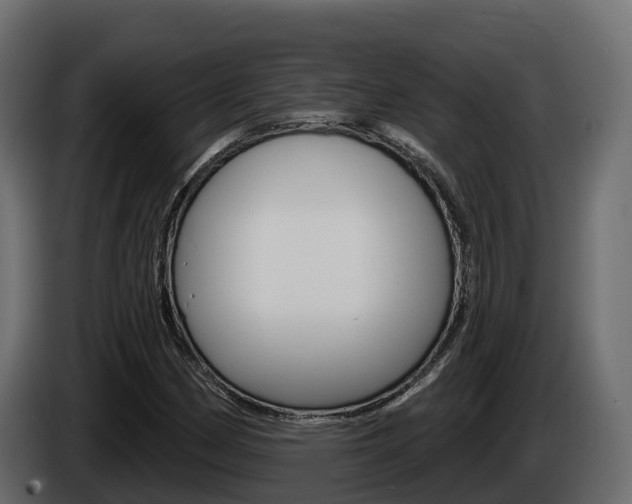 X0000086021162200703230926