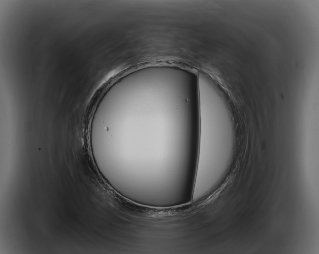 X0000086021165200703230926