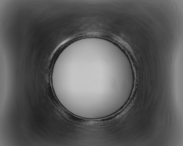 X0000086021166200703230926