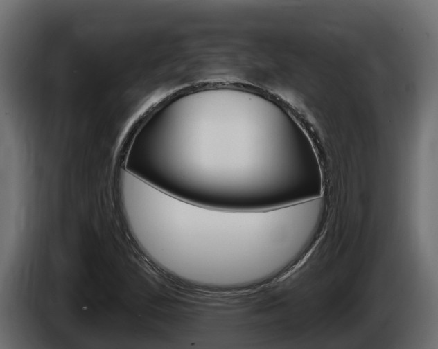 X0000086021167200703230926