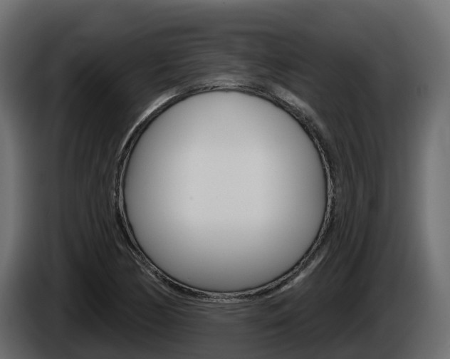 X0000086021170200703230926