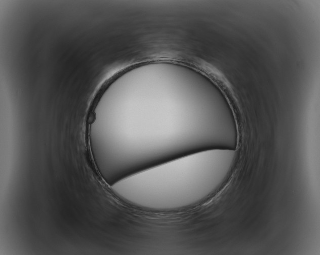 X0000086021174200703230926