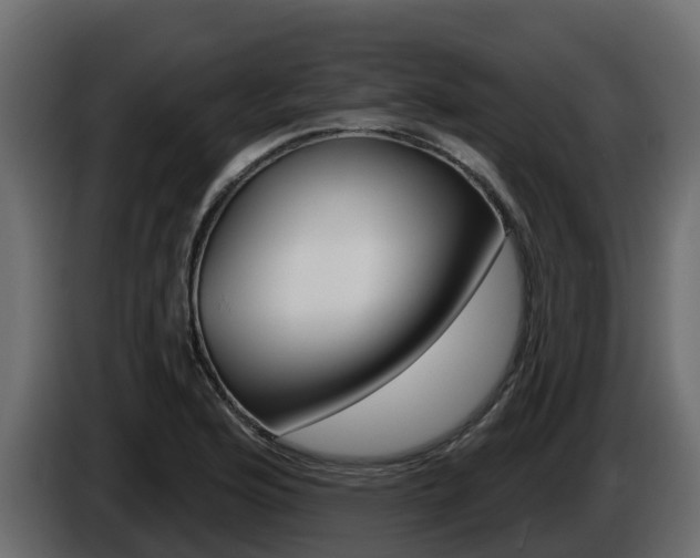X0000086021176200703230926