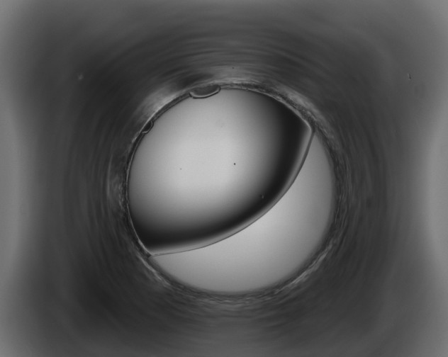 X0000086021177200703230926