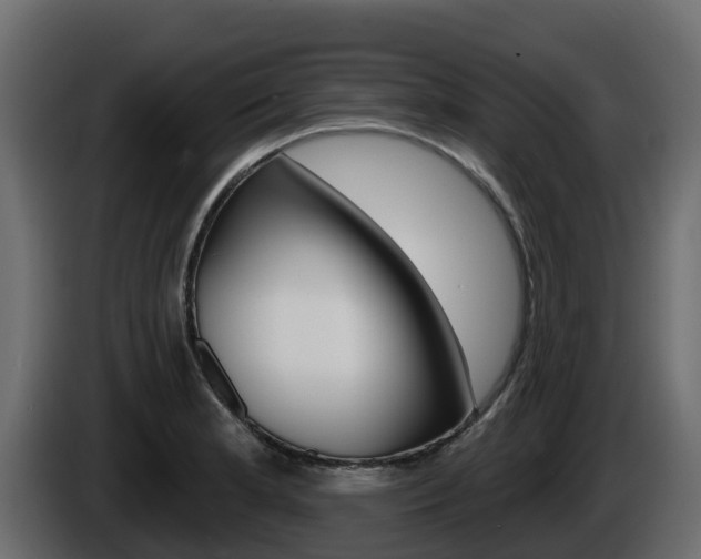 X0000086021181200703230926