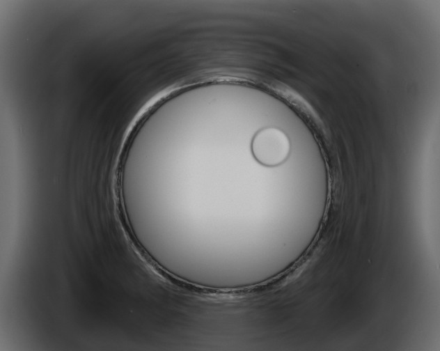 X0000086021182200703230926