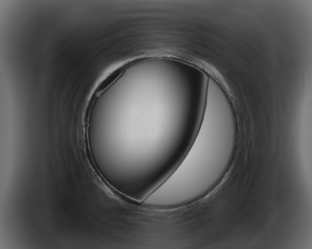 X0000086021184200703230926