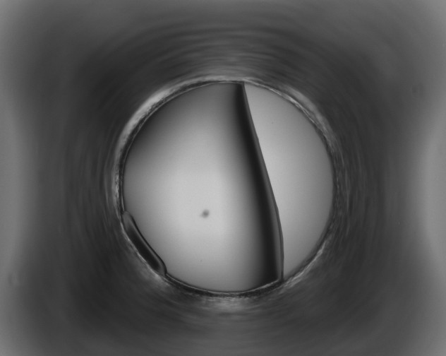 X0000086021188200703230926