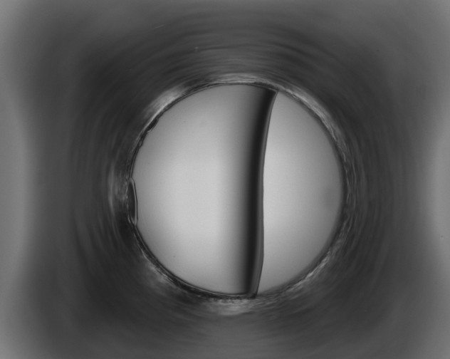 X0000086021193200703230926
