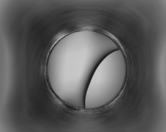 X0000086021194200703230926