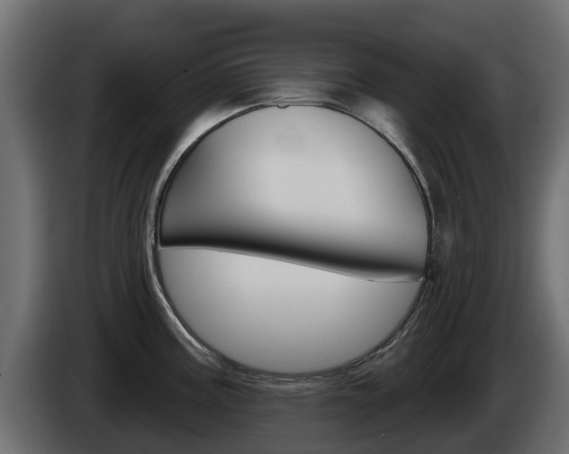 X0000086021195200703230926