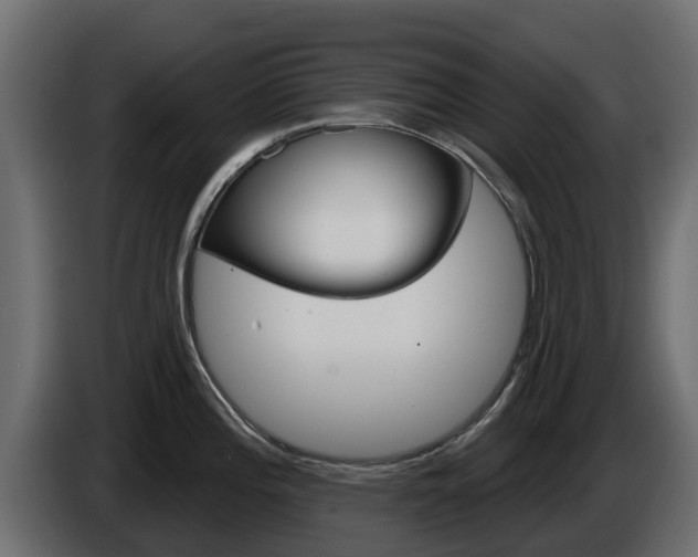 X0000086021196200703230926