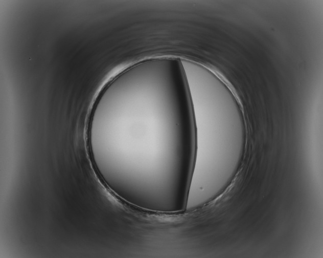 X0000086021197200703230926
