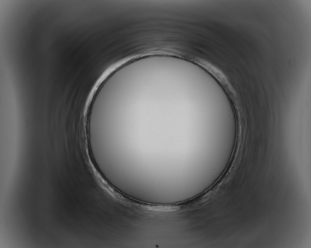 X0000086021200200703230926