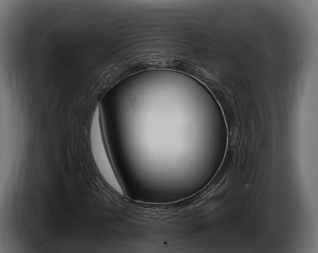 X0000086021202200703230925