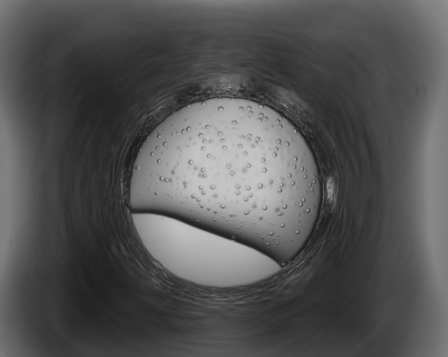 X0000086021203200703230925