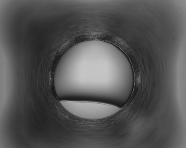 X0000086021204200703230925