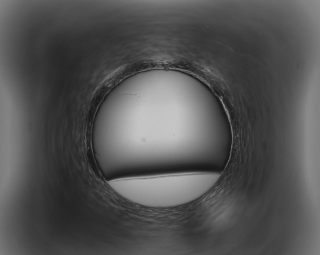X0000086021205200703230925