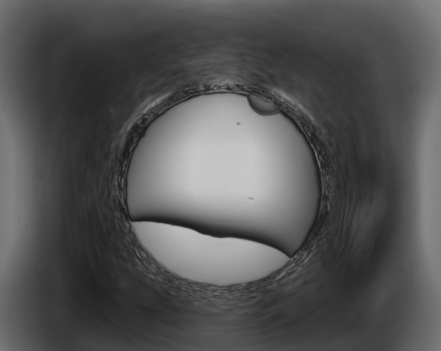X0000086021207200703230925