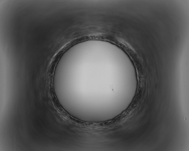 X0000086021208200703230925
