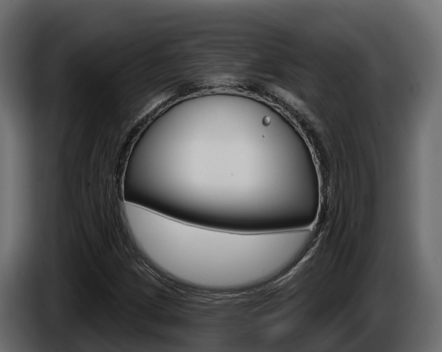 X0000086021209200703230925