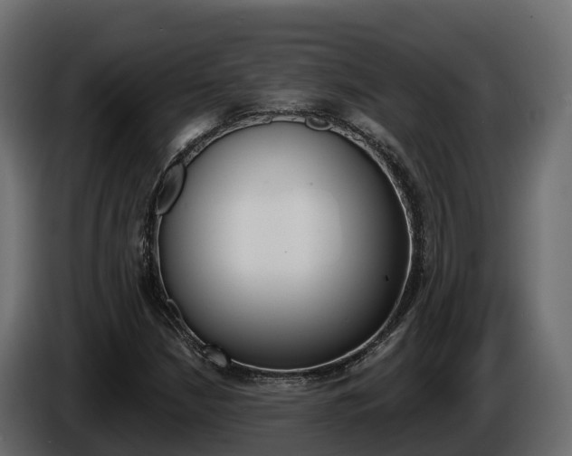 X0000086021210200703230925