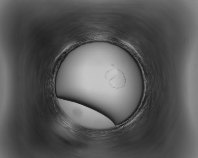 X0000086021211200703230925