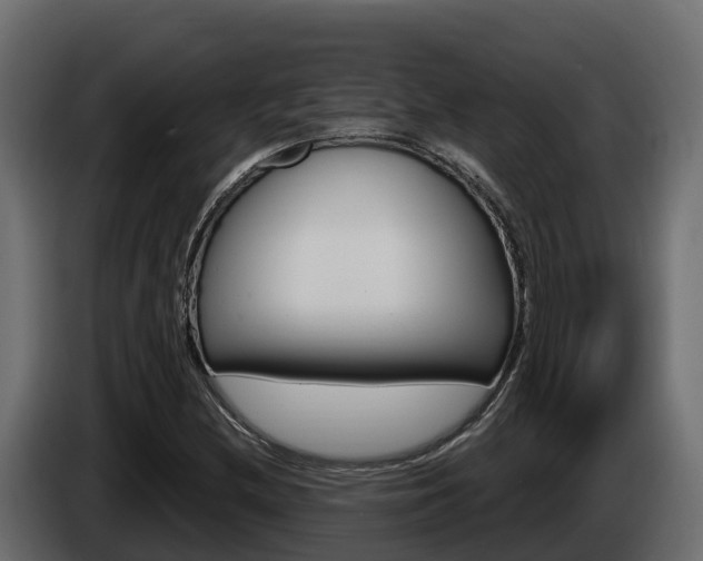 X0000086021212200703230925
