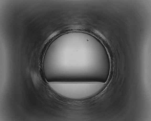 X0000086021213200703230925