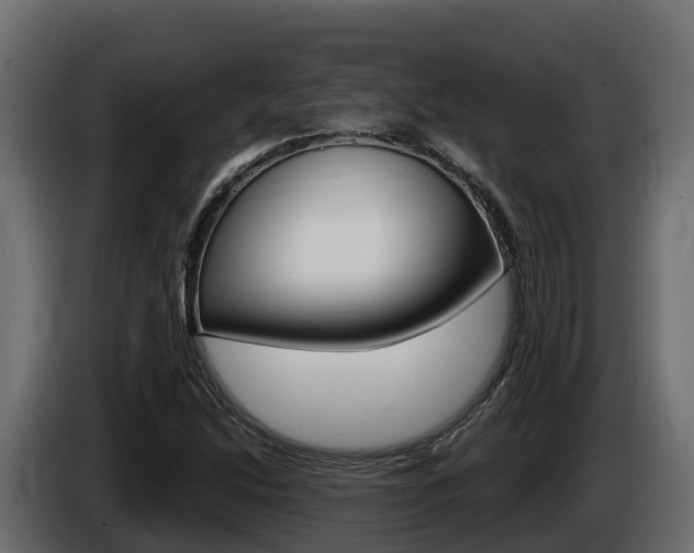 X0000086021214200703230925
