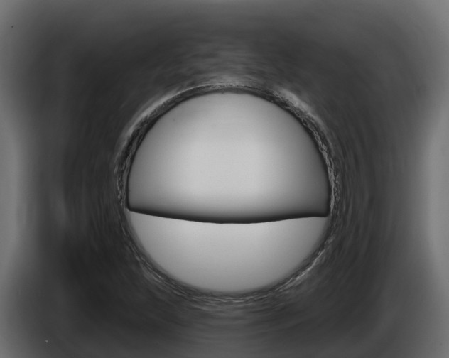 X0000086021215200703230925