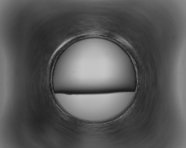 X0000086021216200703230925
