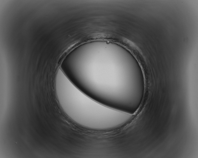 X0000086021217200703230925
