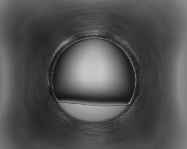 X0000086021218200703230925