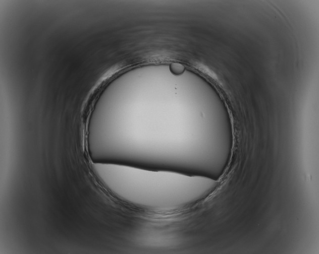 X0000086021219200703230925