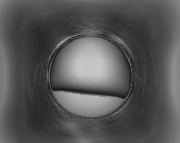 X0000086021220200703230925