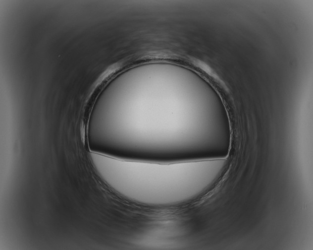 X0000086021221200703230925