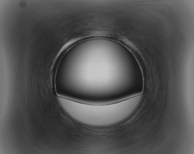 X0000086021222200703230925