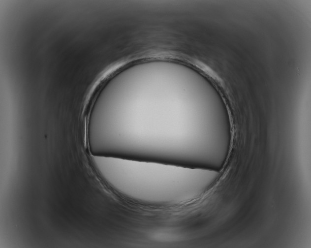 X0000086021223200703230925