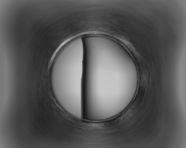 X0000086021224200703230925